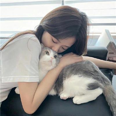 迷雾追凶
